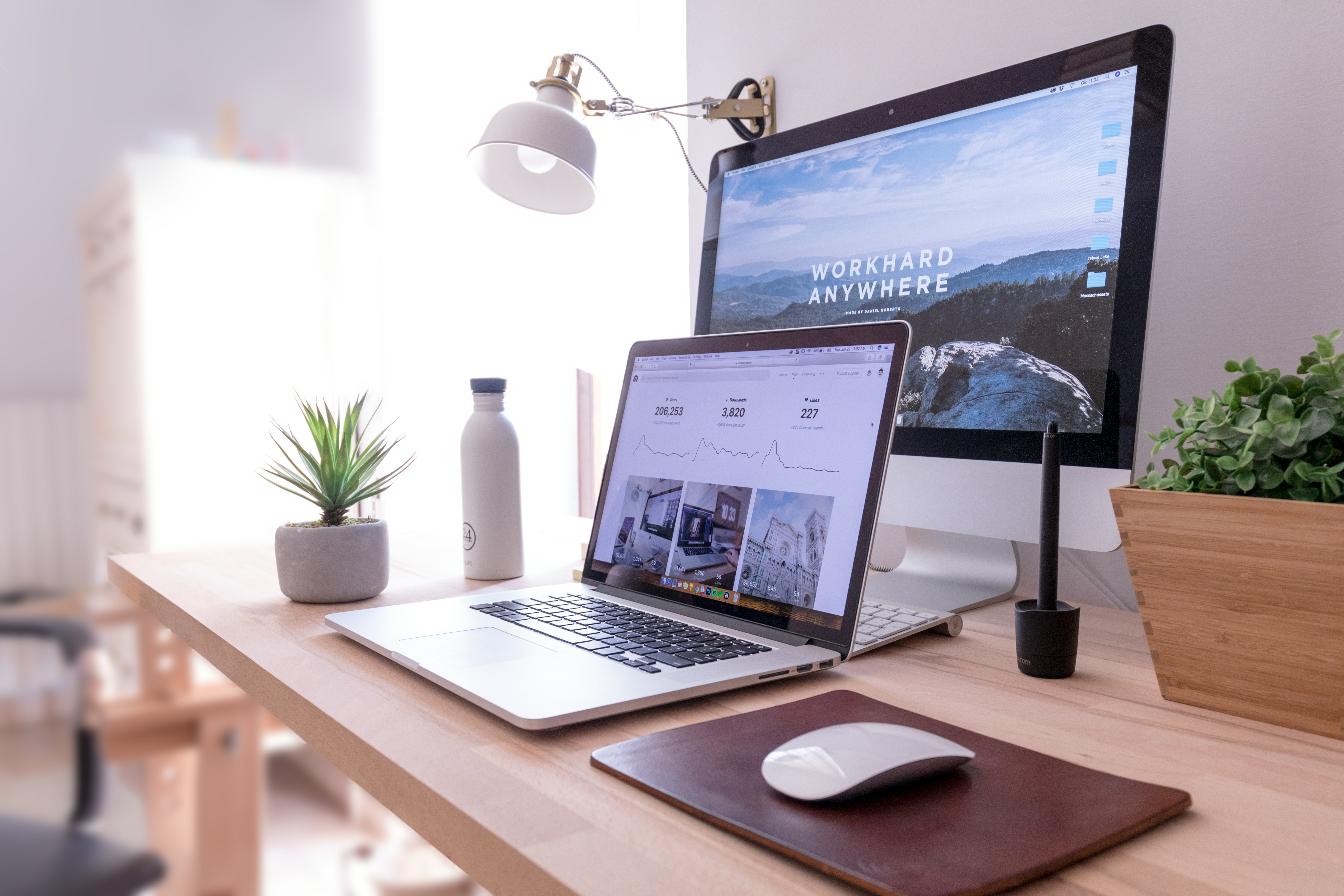 Thorough Functional & Regression Testing - Serviqo Technologies